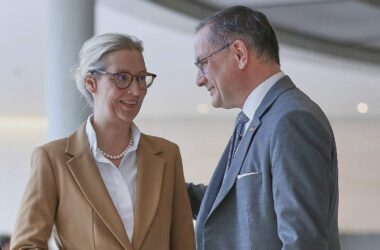 Forsa: AfD holt zu Union auf - Grüne und Linke verlieren