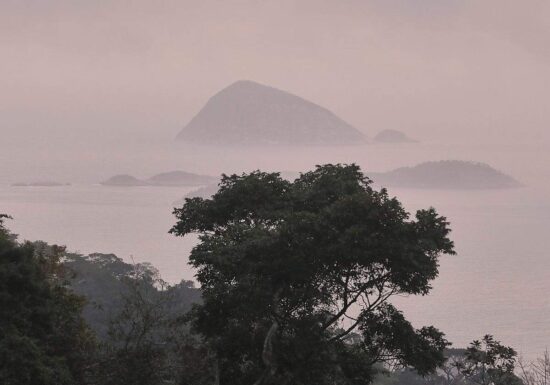 IPBES: Unternehmen gefährden durch Naturzerstörung eigene Zukunft