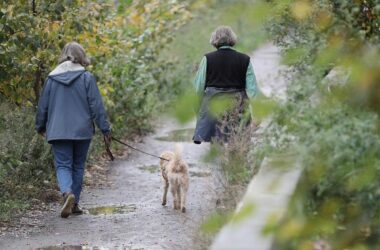 Muntean: "Wenn Frauen krank werden, leidet die ganze Gesellschaft"