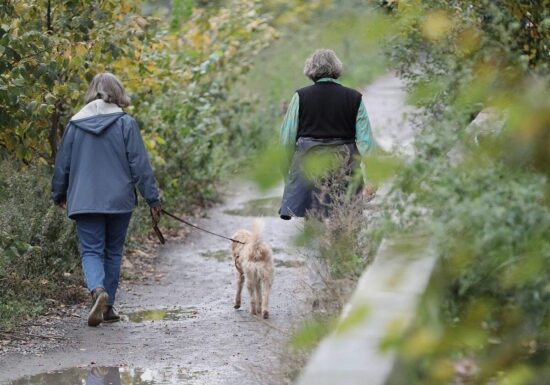 Muntean: "Wenn Frauen krank werden, leidet die ganze Gesellschaft"