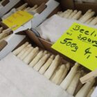 Spargelanbau in Deutschland geht zurück