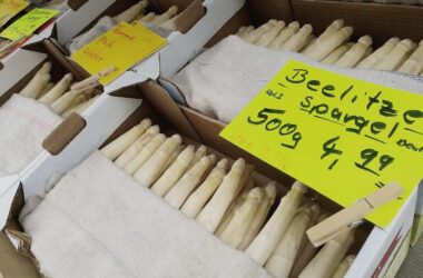 Spargelanbau in Deutschland geht zurück