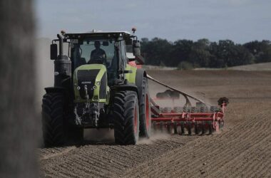 Erzeugerpreise landwirtschaftlicher Produkte im Januar gesunken