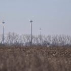 Unternehmen und Grüne starten Appell gegen Energiepolitik