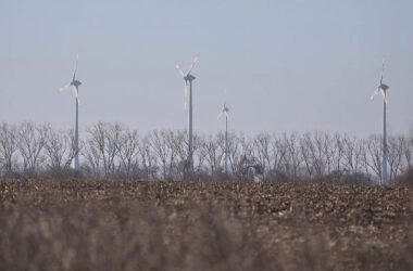 Unternehmen und Grüne starten Appell gegen Energiepolitik