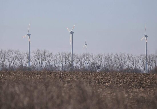 Unternehmen und Grüne starten Appell gegen Energiepolitik