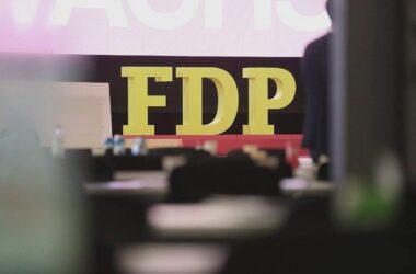 Grüne wollen FDP-Wählern Angebot machen