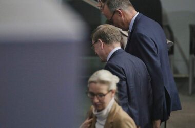 Forsa: Union baut Vorsprung auf AfD aus - Grüne vor SPD