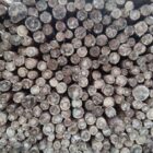 Deutschland legt Vorschläge zur EU-Entwaldungsverordnung vor