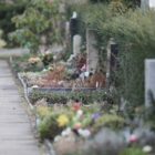 Lebenserwartung in Westeuropa driftet zunehmend auseinander