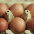 Eierproduktion 2025 leicht gestiegen