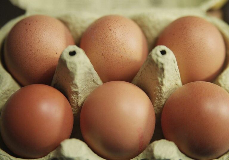 Eierproduktion 2025 leicht gestiegen