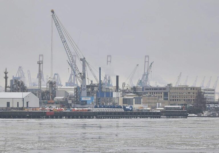 Euro bleibt führende Währung bei Exporten in Drittstaaten