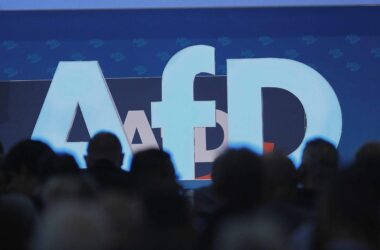 AfD-Vorstand zieht Ausschlussantrag gegen Jugendfunktionär zurück