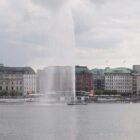 Erster Wolfsangriff in Deutschland seit Wiederansiedlung