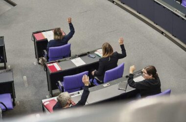 Strategiepapier: Linke will Regierungskurs "delegitimieren"