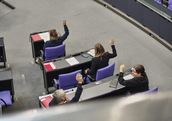 Strategiepapier: Linke will Regierungskurs "delegitimieren"