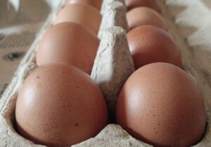 Geflügelwirtschaft sieht knappes Eier-Angebot zu Ostern