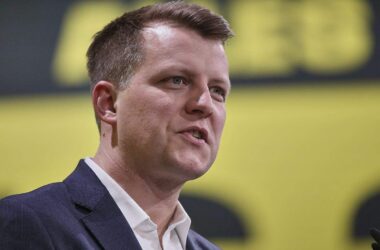 FDP-Vize Höne will Parteivorsitzender werden