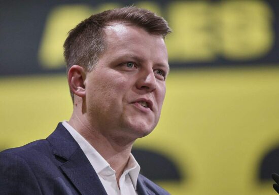 FDP-Vize Höne will Parteivorsitzender werden