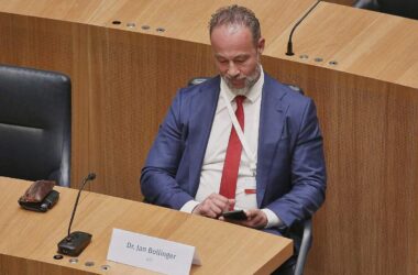 Bollinger nicht mehr AfD-Fraktionschef in Rheinland-Pfalz
