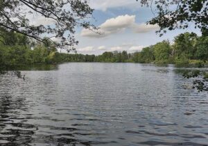 Zahl der Badetoten 2025 gesunken