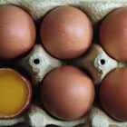 Niederlande bleiben Hauptlieferant für Eierimporte nach Deutschland