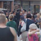 Umfrage: Deutsche gespalten über privaten Walrettungsversuch