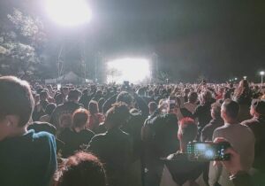 Verbraucherschützer wollen klare Regeln für Ticketzweitmarkt