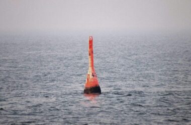 Mehrheit sorgt sich um den Wal in der Ostsee