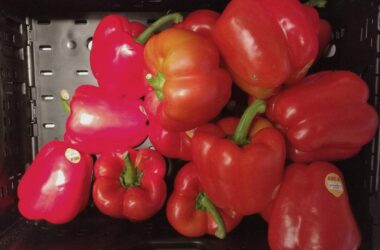 SPD-Wirtschaftsflügel will Mehrwertsteuersenkung für gesundes Essen