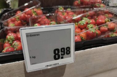 IW hält Anstieg der Inflationsrate auf 4,6 Prozent für möglich