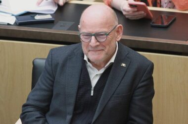 Hermann sieht Pazifisten "in der Minderheit bei den Grünen"