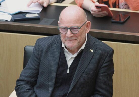 Hermann sieht Pazifisten "in der Minderheit bei den Grünen"