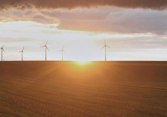 Forsa: Zwei Drittel befürworten Klimaneutralität bis 2045
