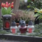 Deutschland hinkt bei Reduzierung vermeidbarer Todesfälle hinterher