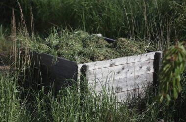 Städtetag fordert bundesweites Nachtfahrverbot für Mähroboter