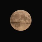 "Artemis 2"-Crew erreicht Einflussbereich des Mondes