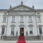 Frösche aus Bellevue-Teich ziehen in Ausweichquartier