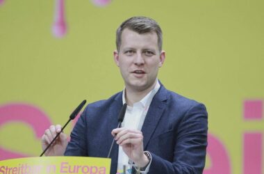 FDP-Vorsitzkandidat Höne will Kubicki als Vize