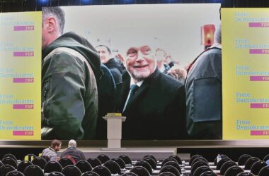 Kubicki will FDP wieder über zehn Prozent führen
