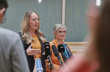 Grüne legen Gegenkonzept zu Warkens Gesundheitsreform vor