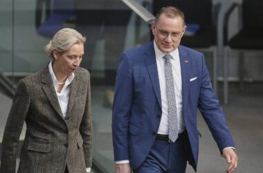 AfD laut Insa wieder stärkste Kraft