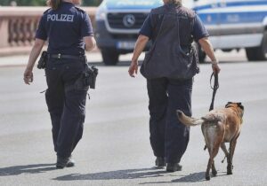Bundespolizei fehlen Hunderte Sprengstoffhunde
