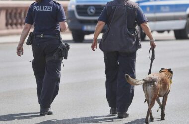 Bundespolizei fehlen Hunderte Sprengstoffhunde