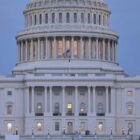 König Charles wirbt im US-Kongress für gemeinsame Werte