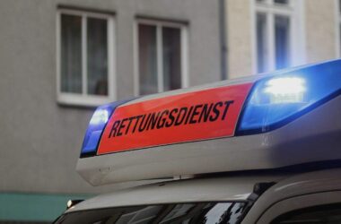 Mindestens zwei Personen bei Flensburg von Baum erschlagen