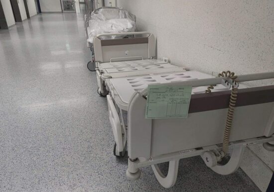 Zahl der FSME- und Borreliose-Todesfälle leicht gestiegen