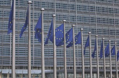 Hofreiter zweifelt an Abschaffung des EU-Einstimmigkeitsprinzips