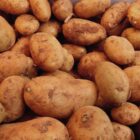 Landwirtschaftliche Erzeugerpreise im Februar deutlich gesunken